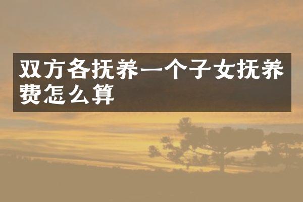 双方各抚养一个子女抚养费怎么算