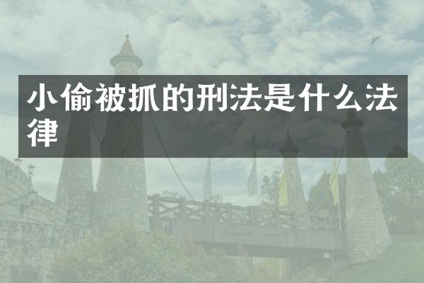 小偷被抓的刑法是什么法律