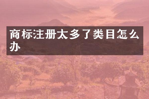 商标注册太多了类目怎么办
