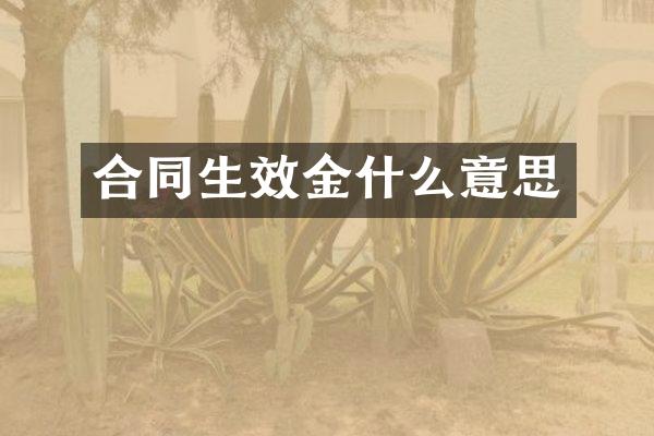 合同生效金什么意思