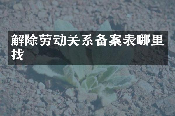 解除劳动关系备案表哪里找
