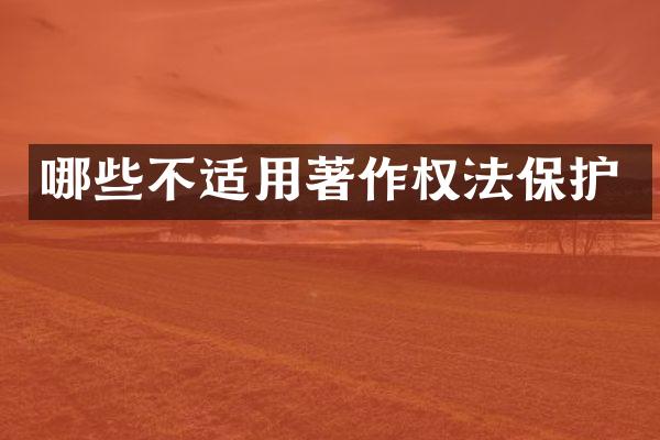 哪些不适用著作权法保护