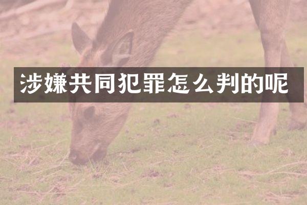 涉嫌共同犯罪怎么判的呢