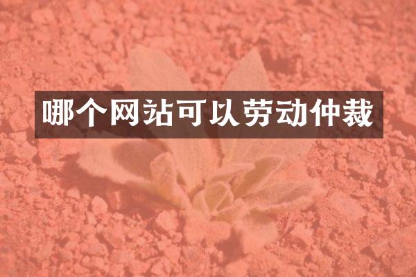 哪个网站可以劳动仲裁
