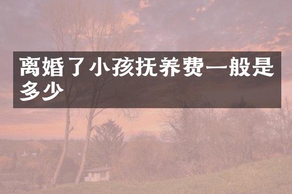 离婚了小孩抚养费一般是多少
