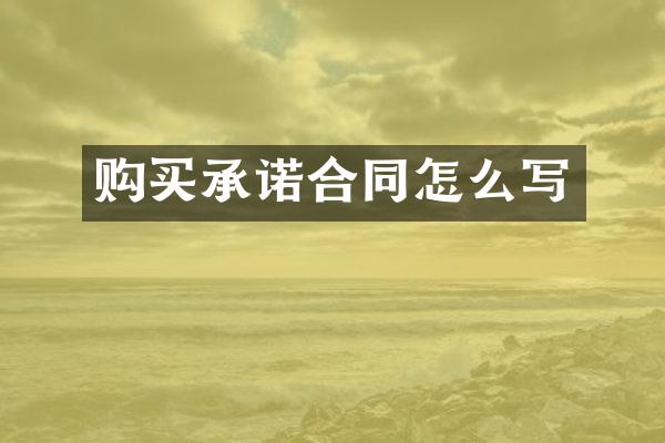 购买承诺合同怎么写