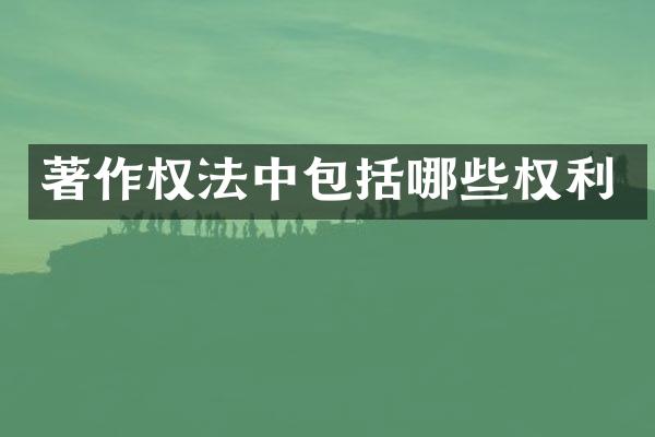 著作权法中包括哪些权利
