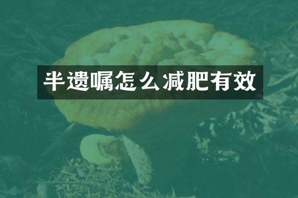 半遗嘱怎么减肥有效