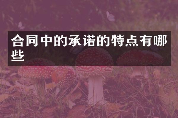 合同中的承诺的特点有哪些