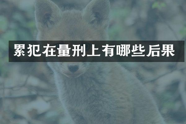 在量刑上有哪些后果
