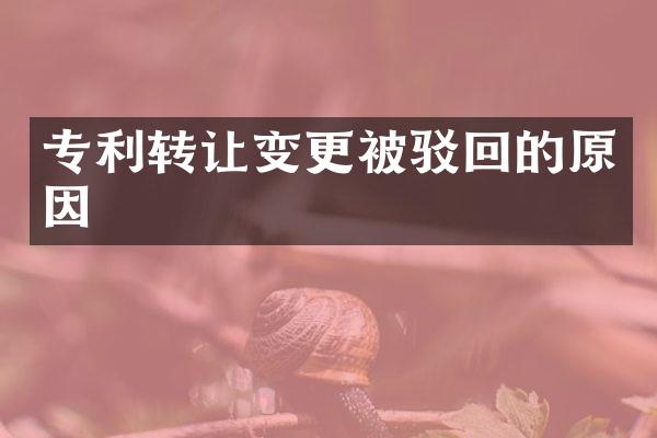 专利转让变更被驳回的原因
