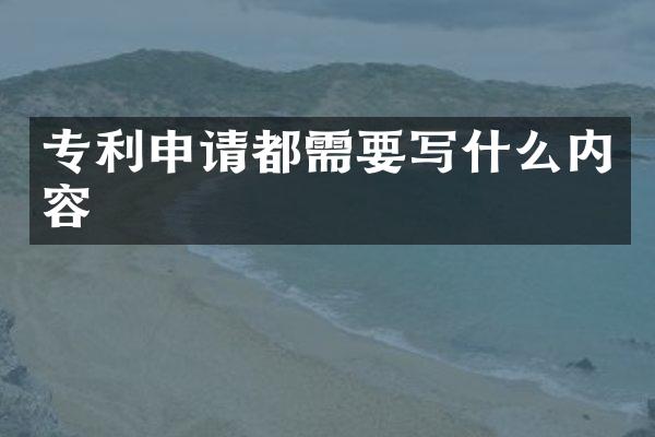 专利申请都需要写什么内容