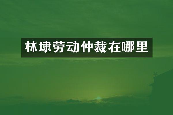 林埭劳动仲裁在哪里