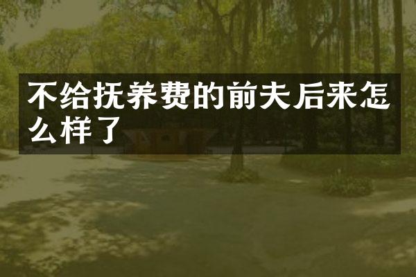 不给抚养费的前夫后来怎么样了