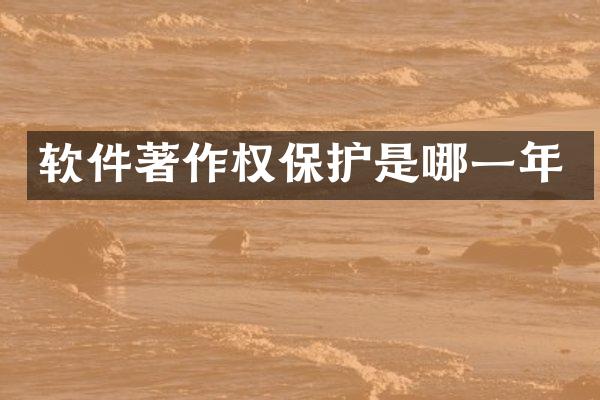 软件著作权保护是哪一年