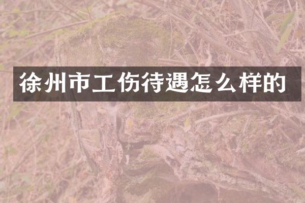 徐州市工伤待遇怎么样的