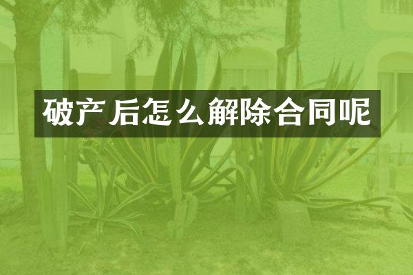 破产后怎么解除合同呢