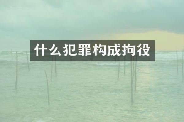 什么犯罪构成拘役