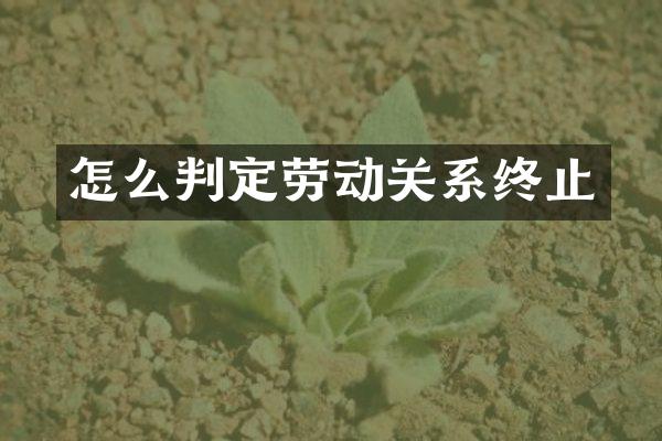 怎么判定劳动关系终止
