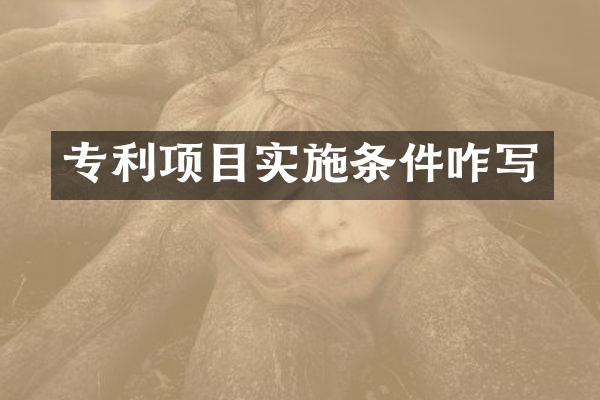 专利项目实施条件咋写