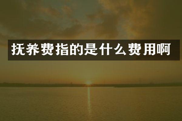 抚养费指的是什么费用啊