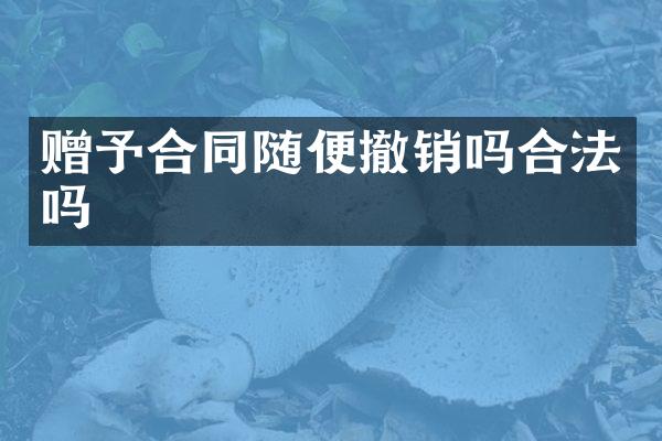 赠予合同随便撤销吗合法吗