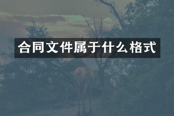合同文件属于什么格式