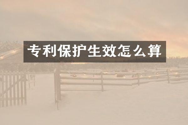 专利保护生效怎么算