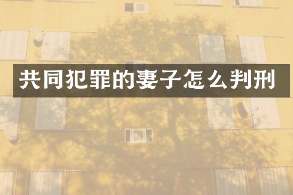 共同犯罪的妻子怎么判刑