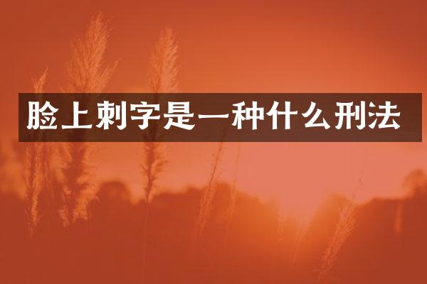 脸上刺字是一种什么刑法