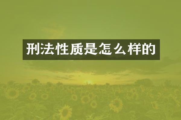 刑法性质是怎么样的