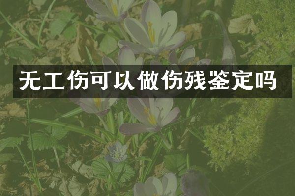 无工伤可以做伤残鉴定吗