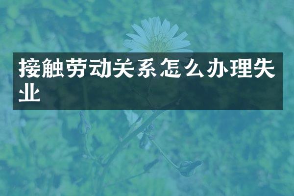 接触劳动关系怎么办理失业