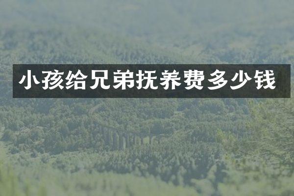 小孩给兄弟抚养费多少钱