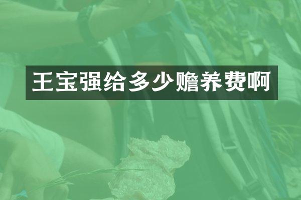 王宝强给多少赡养费啊