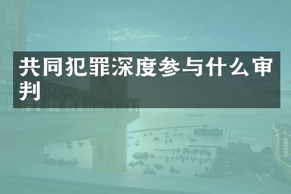 共同犯罪深度参与什么审判