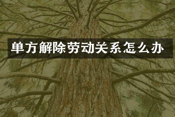 单方解除劳动关系怎么办