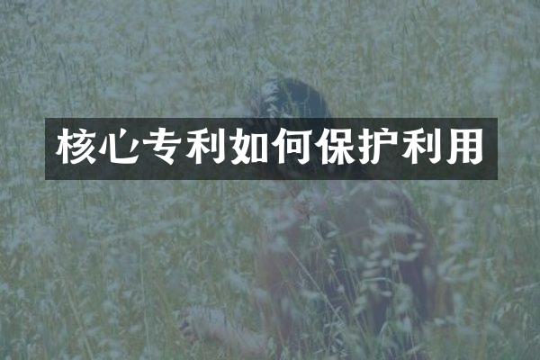 核心专利如何保护利用