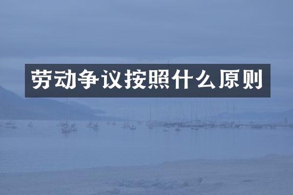 劳动争议按照什么原则