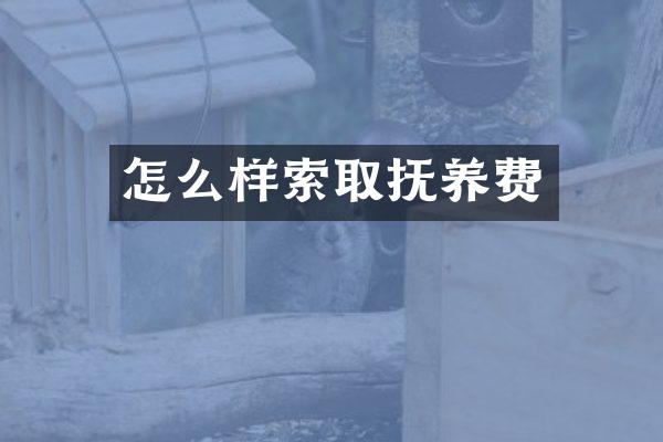 怎么样索取抚养费