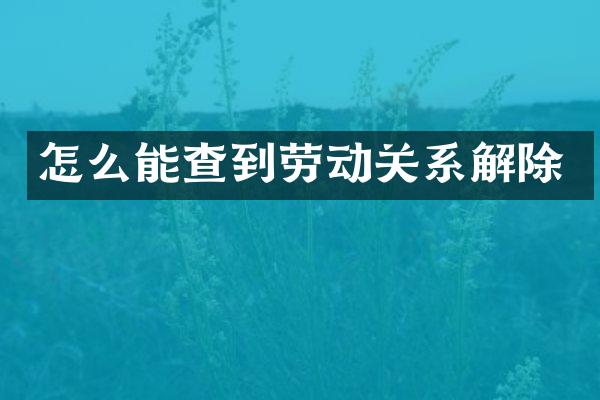 怎么能查到劳动关系解除