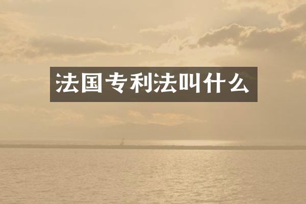 法国专利法叫什么