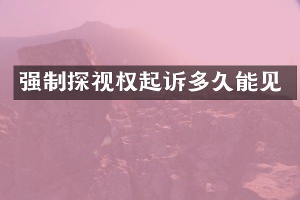 强制探视权起诉多久能见