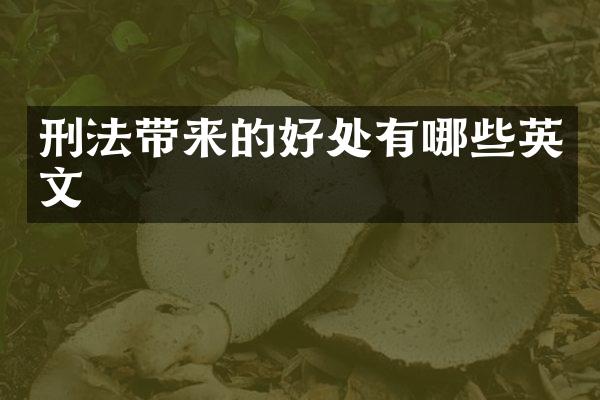 刑法带来的好处有哪些英文
