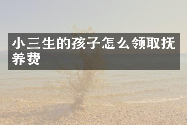 生的孩子怎么领取抚养费