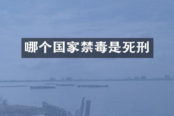 哪个国家禁毒是死刑