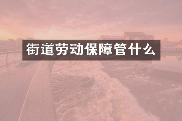 街道劳动保障管什么