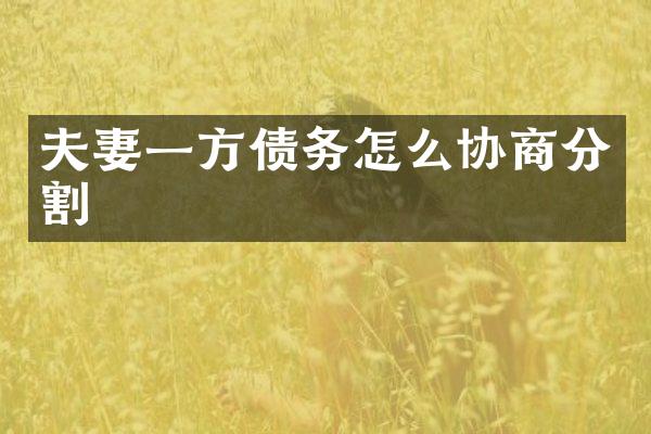 夫妻一方债务怎么协商分割