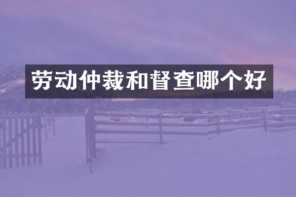 劳动仲裁和督查哪个好