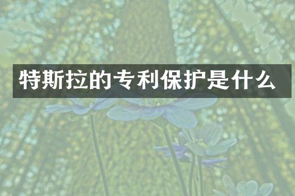 特斯拉的专利保护是什么